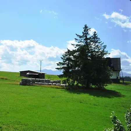 Tatry Na Wypasie *